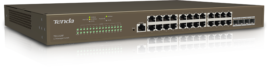 L3 Managed Swicth TEG5328F
